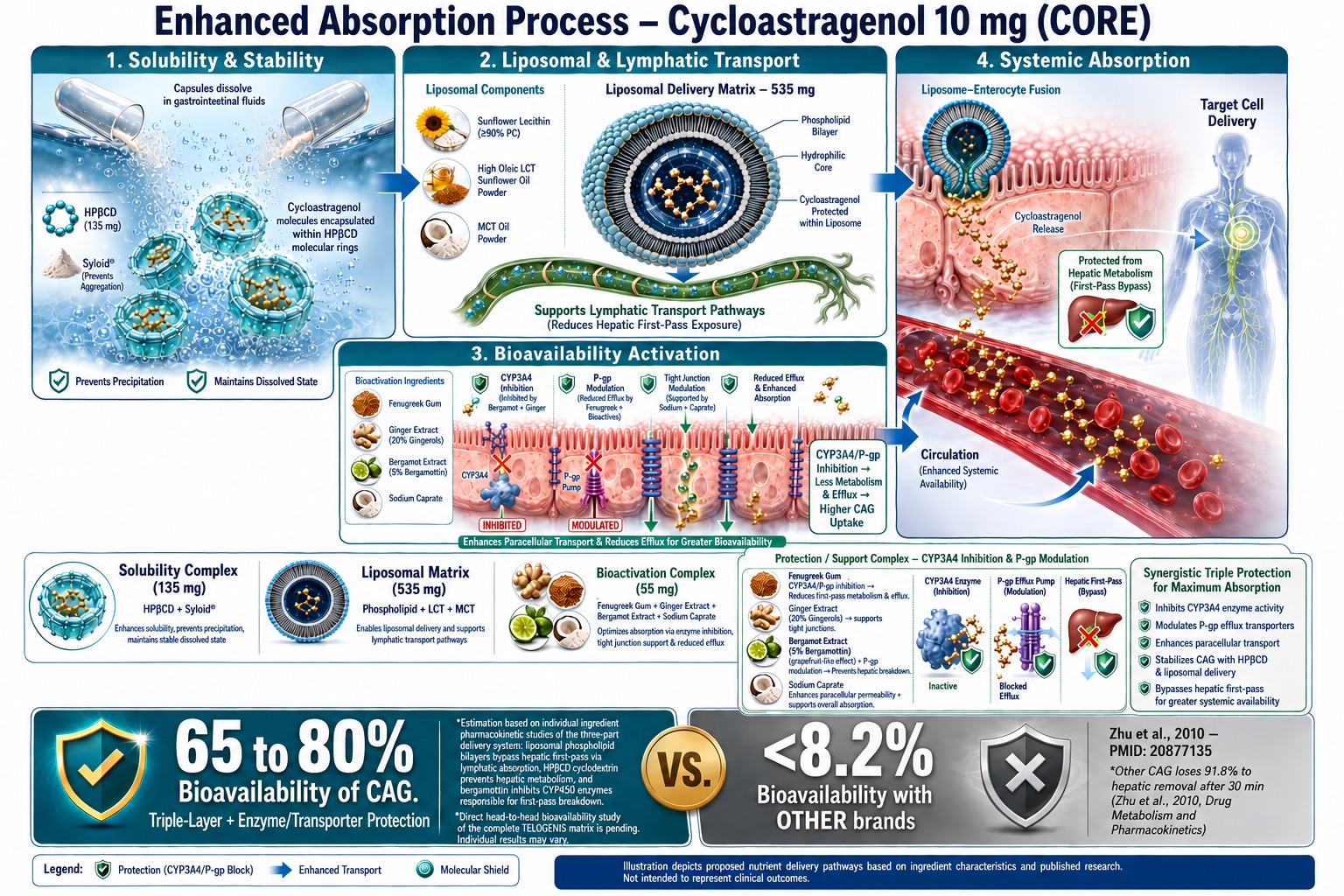 CAG CORE Enhanced Absorption Process